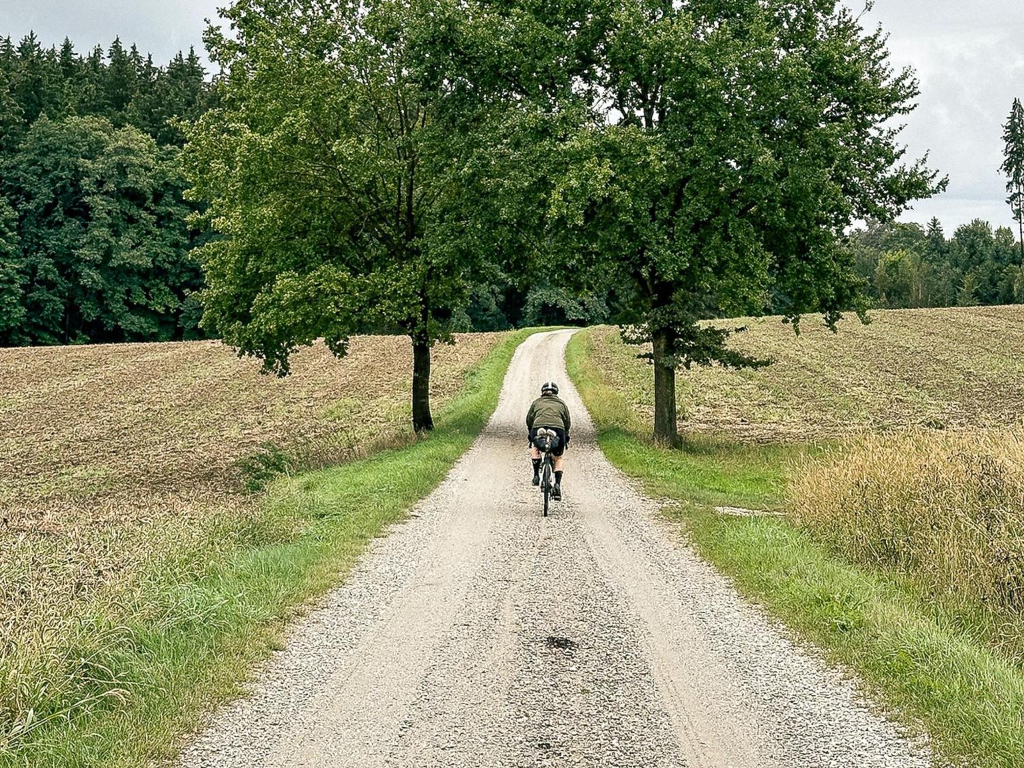 Landhaus Alte Schmiede Niemegk  Kültér fotó